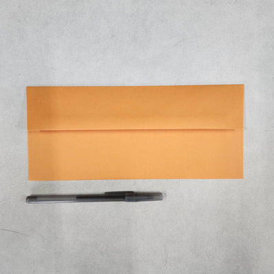 #10 Orange Fizz Envelopes 25/Package