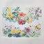 Carol Wilson Spring Meadow Boxed Cards