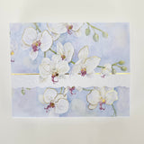 Carol Wilson White Orchid Boxed Cards