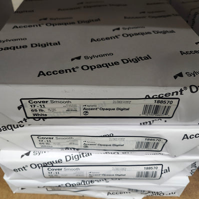 Accent Opaque 65# Cardstock 17 x 11
