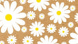 Daisy on Kraft Wrapping Paper