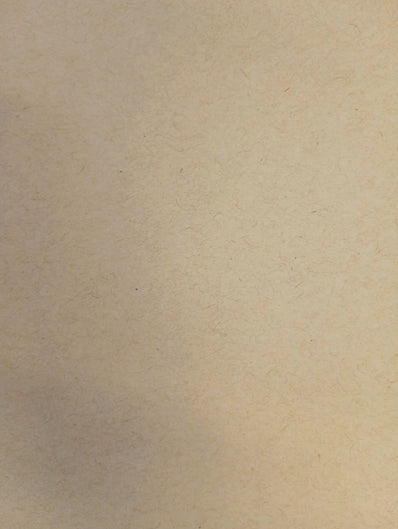 Speckletone Kraft 70# Text