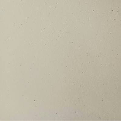 Speckletone Cream 80# Cardstock