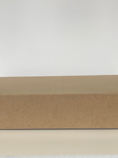 Kraft 19x12x3 Gift Box