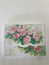 Carol Wilson Rose Cascade Boxed Cards