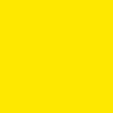 Butcher Paper Canary