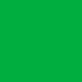 Butcher Paper Apple Green