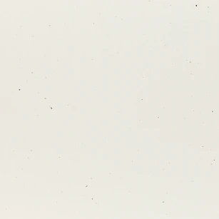 Speckletone Madero Beach 80# Cardstock