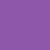 Astrobright Gravity Grape 65# Cardstock