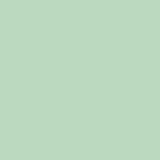 Exact Green 67# Cardstock