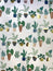 10' House Plants Stone Wrapping Paper
