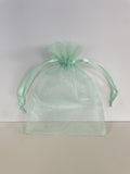 5x6.5 Mint Sheer Pouch