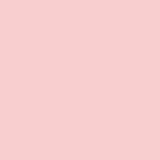 Exact Pink 67# Cardstock