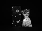 C7 Snowflakes Cello Bags